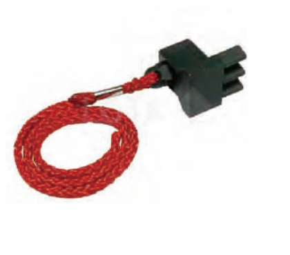 FLYWHEEL LOCK TOOL-BMW (N55)