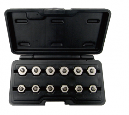CAP NUT SET 12 PIECES