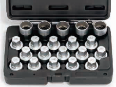 20 PCS BMW WHEEL BOLT LOCK SOCKET SET